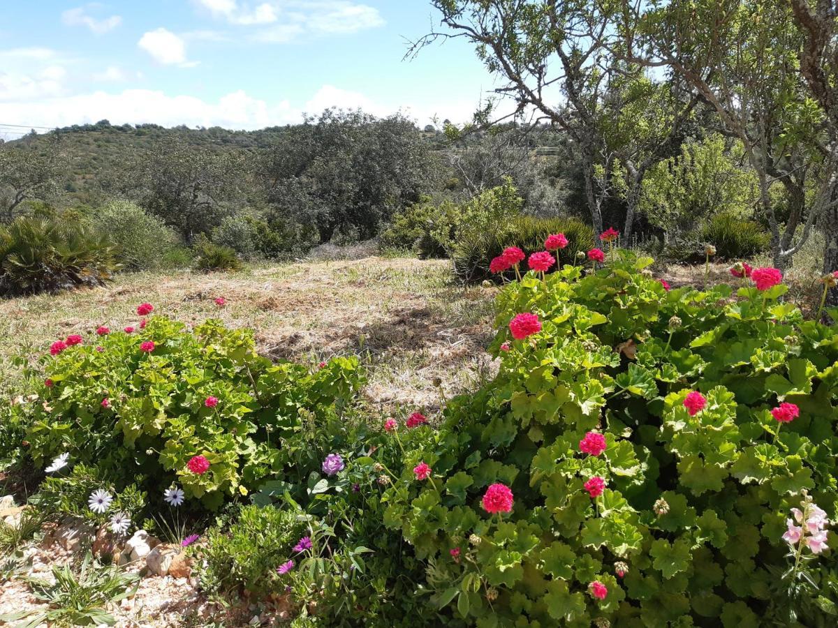 Appartement Quinta Da Jolanda-Happy Family Farm à Lagos Extérieur photo